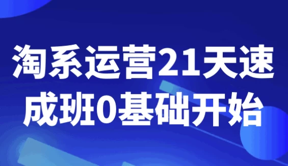 淘系运营21天速成班0基础开始