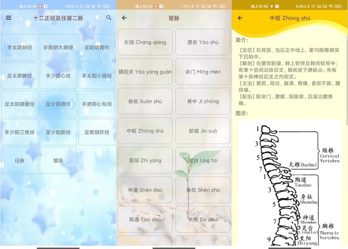 人体穴位图解 v3.1.8 可离线版