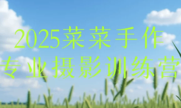 2025菜菜手作专业摄影训练营